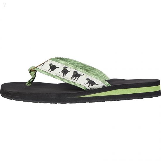 L.L.Bean Classic Maine Isle Flip-Flop 3 Motif Cream/Green Tea Lab Fetch ID-jW7Dguu7