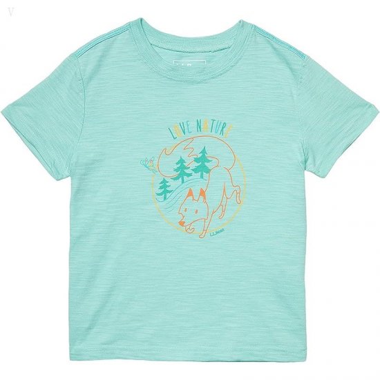 L.L.Bean Graphic Tee Glow in the Dark (Little Kids) Faded Jade Love Nature ID-iwENofpc