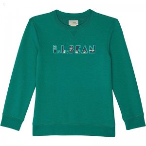 L.L.Bean Athleisure Top (Little Kids) Rustic Green ID-EZJR3Eds