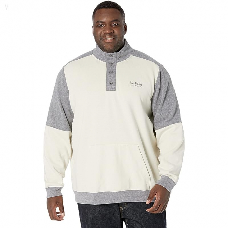 L.L.Bean 1912 Sweatshirt Button Mock Color-Block - Tall Silver Birch/Gray Heather ID-rAk0NASs - Click Image to Close