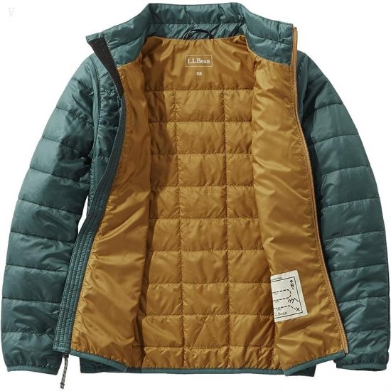 L.L.Bean PrimaLoft Packaway Jacket (Big Kids) Spruce Pine ID-JiCxwYrp
