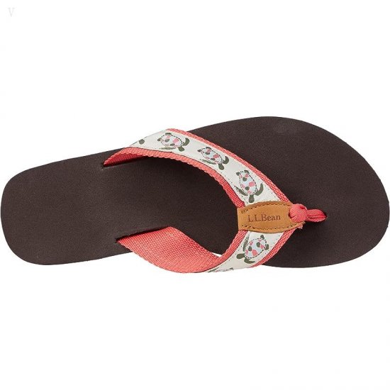 L.L.Bean Classic Maine Isle Flip-Flop 3 Motif Turtle/Natural ID-OICn2FPa