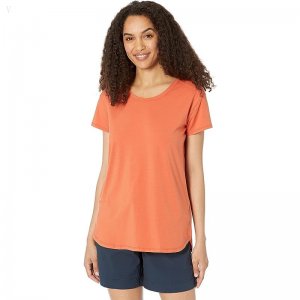 L.L.Bean Beyond Soft Crew Neck Tee Short Sleeve Terra-Cotta ID-iJRqX0EH