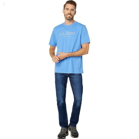 L.L.Bean Carefree Unshrinkable Tee without Pocket Short Sleeve Logo Arctic Blue/Chelt Logo ID-rgmAfmLI