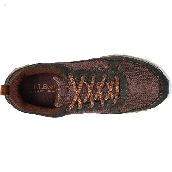 L.L.Bean Snow Sneaker 5 Low Water Resistant Insulated Lace-Up Loden/Dark Earth ID-644qPitO