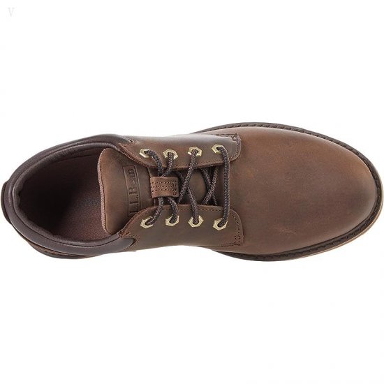 L.L.Bean Stonington Oxford Shoes Plain Toe Deepest Brown ID-rxsRuSD4