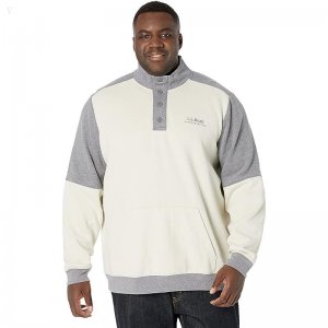 L.L.Bean 1912 Sweatshirt Button Mock Color-Block - Tall Silver Birch/Gray Heather ID-rAk0NASs