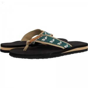 L.L.Bean Classic Maine Isle Flip-Flop 3 Motif Dragonfly/Pine ID-ZuN55XeT