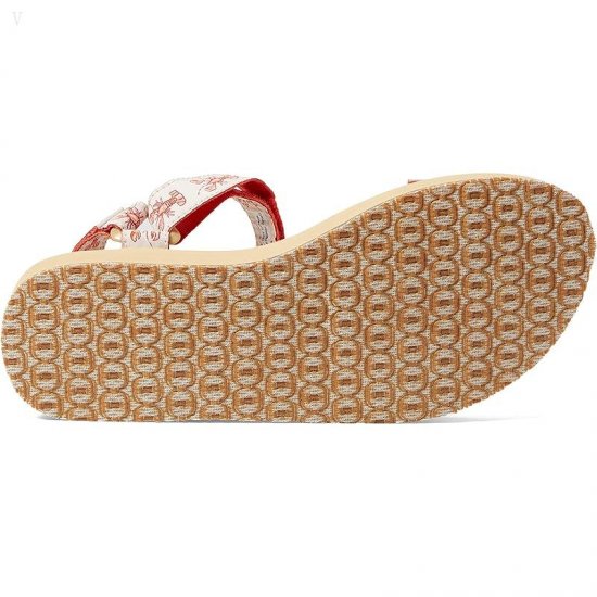 L.L.Bean Maine Isle Sara Fitz 4 Point Sandal Print Paperwhite Lobster ID-Reaz8RTI