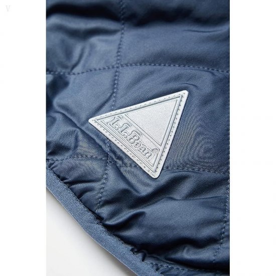 L.L.Bean Mountain Bound Reversible Hooded Jacket (Toddler) Carbon Navy/Soapstone ID-YCewx7Mj