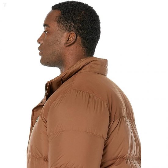 L.L.Bean Mountain Classic Down Parka - Tall Dark Barley ID-XEJVUqBA
