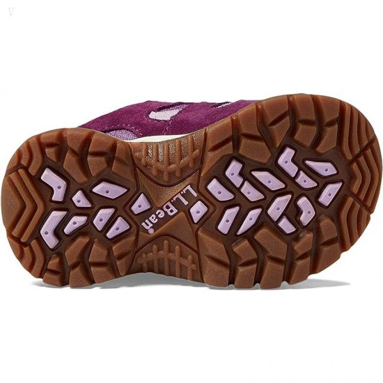 L.L.Bean Trail Model Low Hiker (Toddler) Violet Chalk/Purple Clover ID-gPfZxm7M