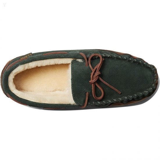 L.L.Bean Wicked Good Moccasins Black Spruce/Chocolate ID-QJIKHHAh