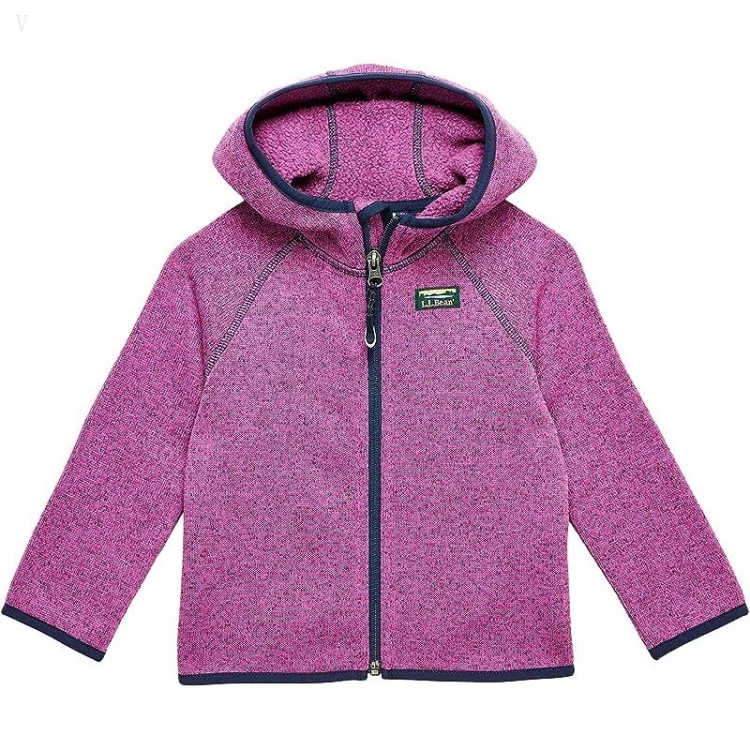 L.L.Bean Bean's Sweater Fleece Full Zip (Toddler) Dark Mulberry ID-NRWr7B8M - Click Image to Close