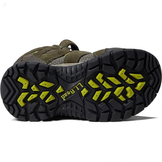 L.L.Bean Trail Model Water Resistant Hiker (Toddler) Dark Loden ID-NPTMDKMG