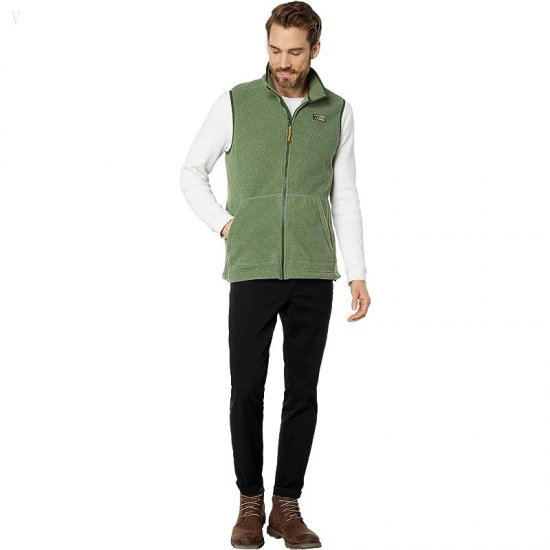 L.L.Bean Mountain Classic Fleece Vest Tall Rain Forest ID-QGpQdKf9