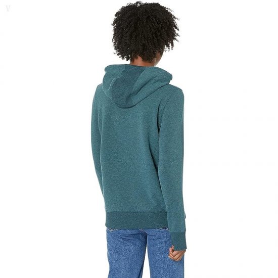 L.L.Bean Petite Bean\'s Cozy Camp Hoodie Graphic Spruce Heather Colorbars ID-W6mpZKne
