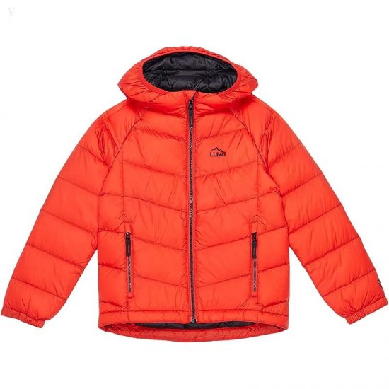 L.L.Bean Ultralight 650 Down Jacket (Little Kids) Vibrant Red ID-ZWnlvXc8