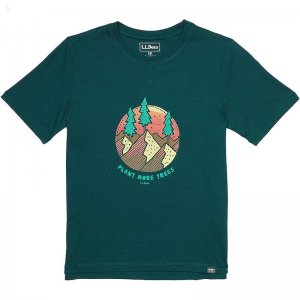 L.L.Bean Organic Short Sleeve Tee (Big Kids) Deepest Green Plant More Trees ID-D0zseUld