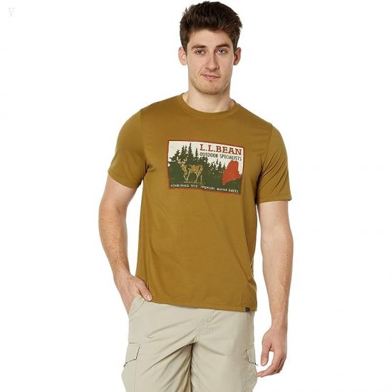 L.L.Bean Hunter's Graphic Tee Regular Fatigue Green ID-iH2MKgnH