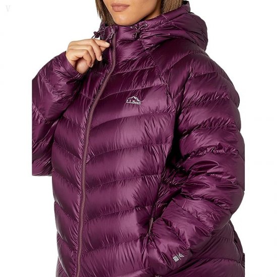 L.L.Bean Plus Size Ultralight 850 Down Hooded Jacket Royal Plum ID-R0W5G4PJ