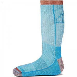 L.L.Bean No Fly Zone Hiking Socks (Toddler/Little Kid/Big Kid) Marine Blue ID-fhKdfx4F