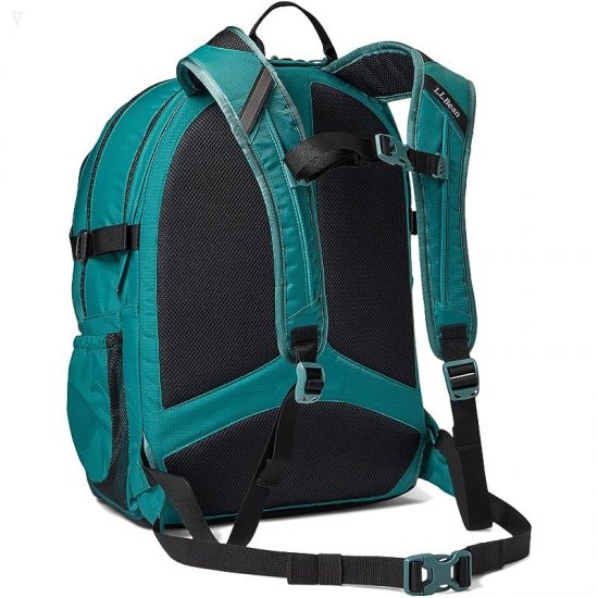 L.L.Bean 42 L Comfort Carry Portable Locker Rustic Green/Dark Pine ID-6eNwW9JA