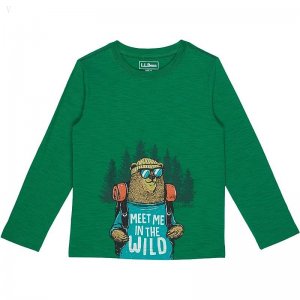 L.L.Bean Graphic Tee Glow in the Dark Long Sleeve (Little Kids) Lawn Green Hiking Bear ID-rBknY0Fr