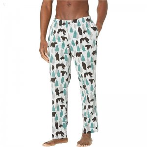 L.L.Bean Comfort Stretch Woven Sleep Pants Regular Flint Bear ID-4MmDOgic