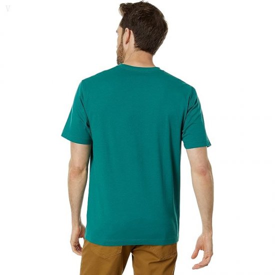 L.L.Bean Carefree Unshrinkable T-Shirt without Pocket Short Sleeve Antique Green ID-HexZM6gQ