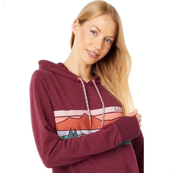 L.L.Bean Bean\'s Cozy Camp Hoodie Graphic Deep Port Heather Colorbars ID-05ETe2aE