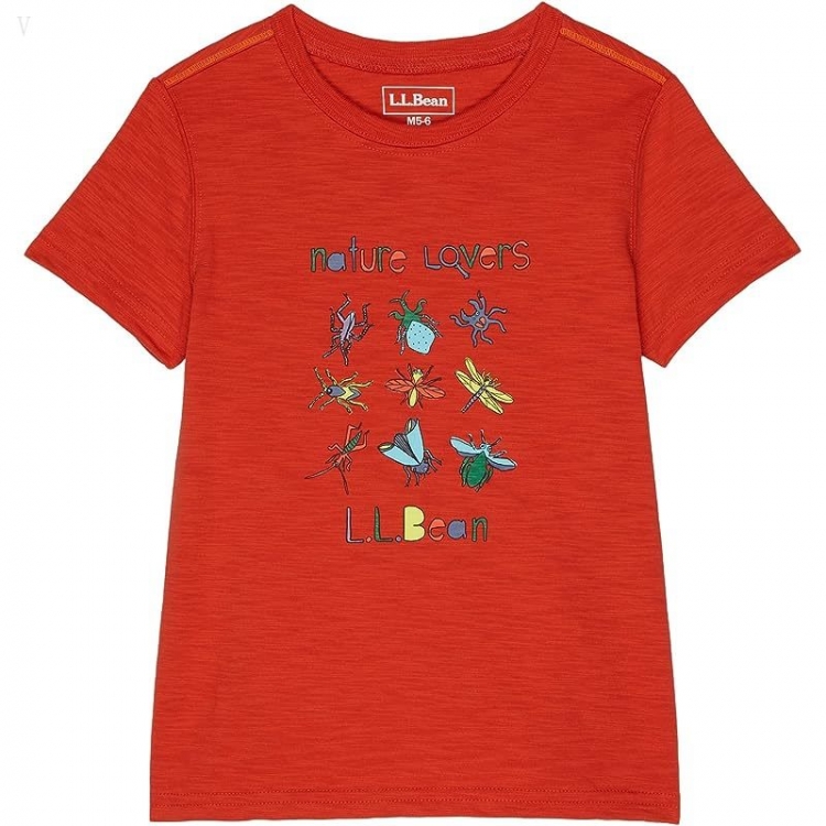 L.L.Bean Graphic Tee Glow in the Dark (Big Kids) Paprika Nature Lovers ID-5NWDjMot - Click Image to Close