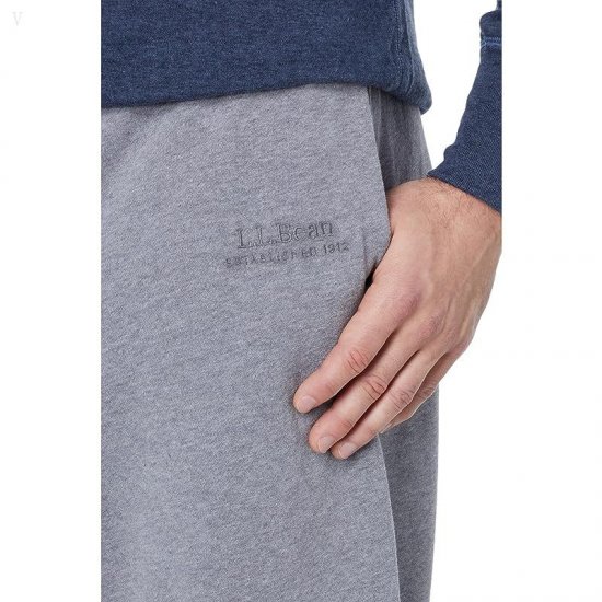 L.L.Bean 30\\ Gray Heather ID-TOogeUG8