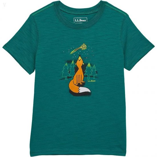 L.L.Bean Graphic Tee Glow in the Dark (Big Kids) Emerald Spruce Fox ID-Y147T9Kj