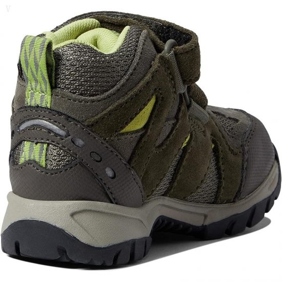 L.L.Bean Trail Model Water Resistant Hiker (Toddler) Dark Loden ID-NPTMDKMG