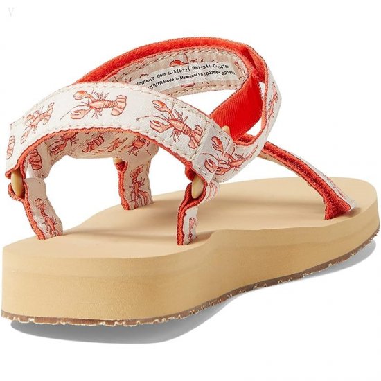 L.L.Bean Maine Isle Sara Fitz 4 Point Sandal Print Paperwhite Lobster ID-Reaz8RTI