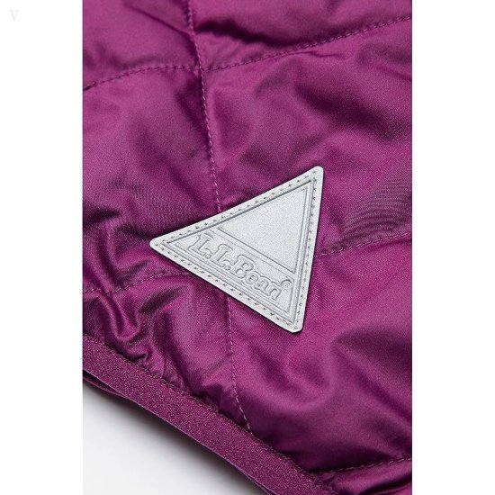 L.L.Bean Mountain Bound Reversible Hooded Jacket (Little Kids) Plum Grape/Magenta Haze ID-5ICH3iOh