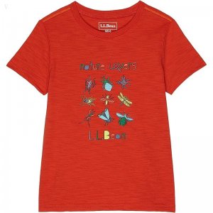 L.L.Bean Graphic Tee Glow in the Dark (Big Kids) Paprika Nature Lovers ID-5NWDjMot