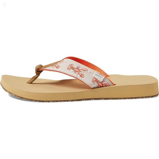 L.L.Bean Maine Isle Flip-Flop Sara Fitz Woven Paperwhite Lobster ID-dnvK9Wdu