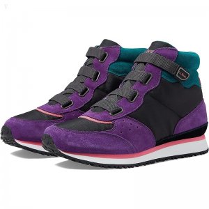 L.L.Bean Katahdin Retro Hiker (Toddler/Little Kid/Big Kid) Jet Black/Bright Purple ID-VkKq4N7r