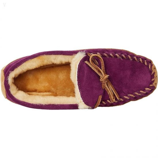 L.L.Bean Wicked Good Slipper (Toddler/Little Kid/Big Kid) Plum Grape ID-d0Sjvm23