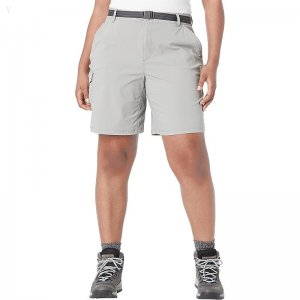L.L.Bean Tropicwear Shorts Frost Gray ID-ksAGUZ95