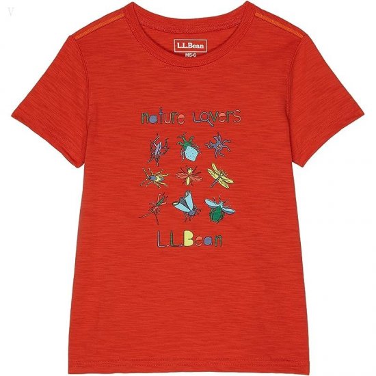 L.L.Bean Graphic Tee Glow in the Dark (Big Kids) Paprika Nature Lovers ID-Uryg6i2T