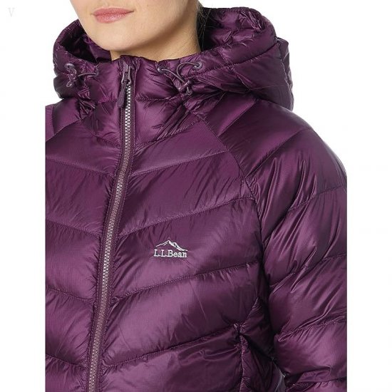 L.L.Bean Petite Ultralight 850 Down Hooded Jacket Royal Plum ID-PERLoAyF
