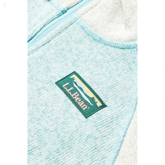 L.L.Bean Bean\'s Sweater Fleece Hooded Color-Block (Big Kids) Sailcloth/Light Mint ID-JqZry0Nd