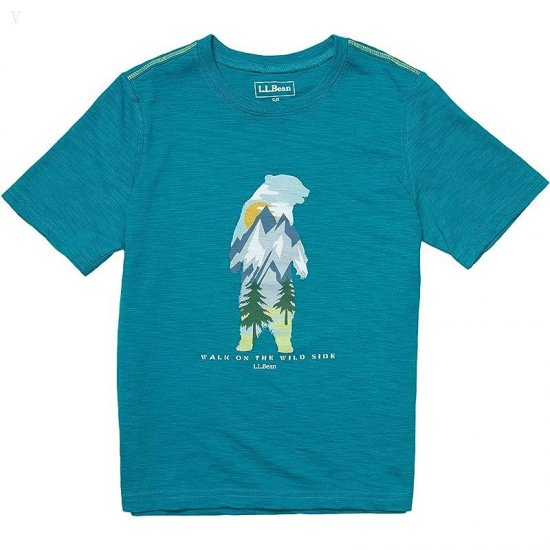 L.L.Bean Graphic Tee Glow in the Dark (Big Kids) Teal Blue Bear ID-QzrzygNr