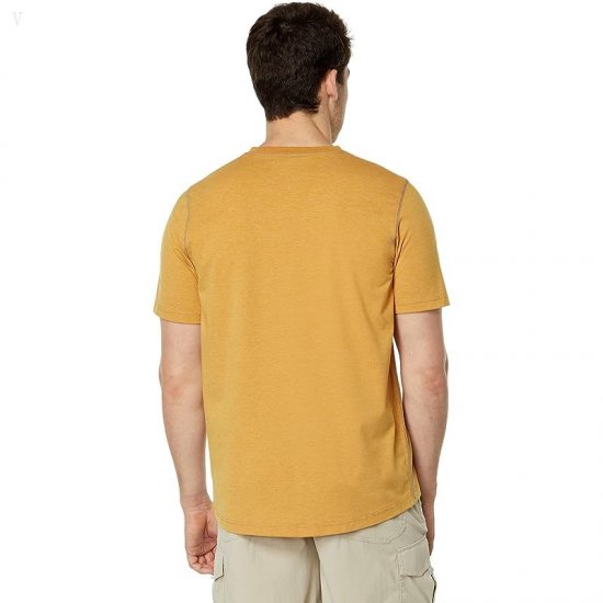 L.L.Bean Insect Shield Field Tee Short Sleeve Regular Dark Amber ID-dsNt9iJi