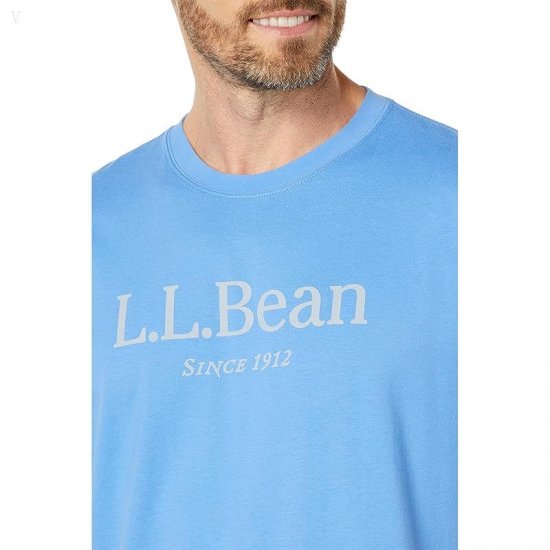 L.L.Bean Carefree Unshrinkable Tee without Pocket Short Sleeve Logo Arctic Blue/Chelt Logo ID-rgmAfmLI