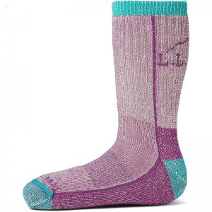 L.L.Bean No Fly Zone Hiking Socks (Toddler/Little Kid/Big Kid) Dark Mulberry ID-koVbswgJ