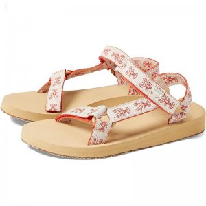 L.L.Bean Maine Isle Sara Fitz 4 Point Sandal Print Paperwhite Lobster ID-Reaz8RTI
